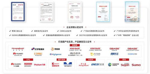 持續(xù)加強(qiáng)國產(chǎn)信創(chuàng)建設(shè) 思邁特軟件與SelectDB完成兼容互認(rèn)證，夯實(shí)基礎(chǔ)軟件服務(wù)