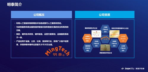 借助活字格低代碼開發(fā)平臺 激發(fā)自主成長能力的基礎(chǔ)軟件服務(wù)